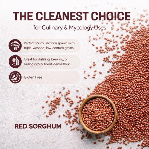 Mycology Basics Organic Sorghum on shelf conveying long shelf life.