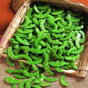 My Favorite Deals Surti Papdi pods ready for harvest