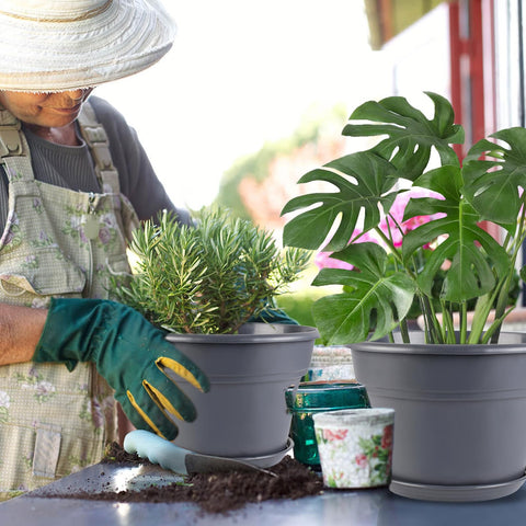 Myfeegoin outdoor plant pots in a sunny garden or balcony setting.