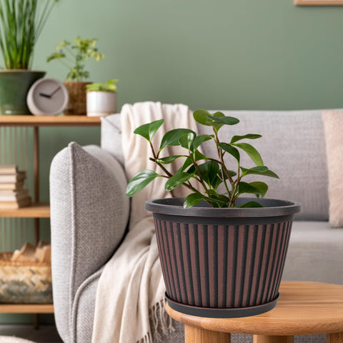 Myfeegoin planter set makes a stylish gift for plant lovers.