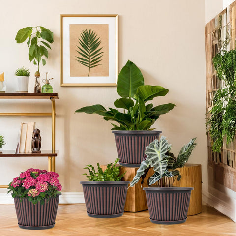 Myfeegoin recyclable polypropylene pots are lightweight yet sturdy.