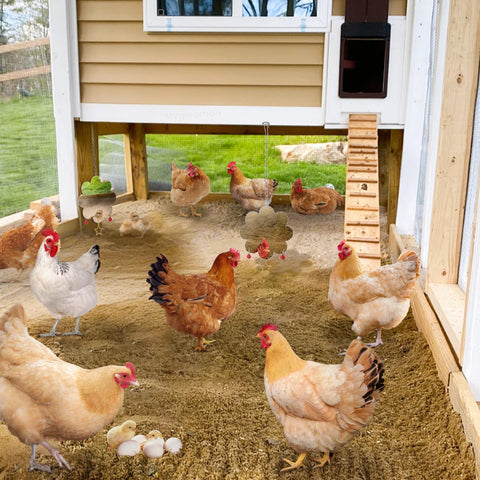 Mygeromon chicken mirror size 6.29 inches provides a roomy reflective space.