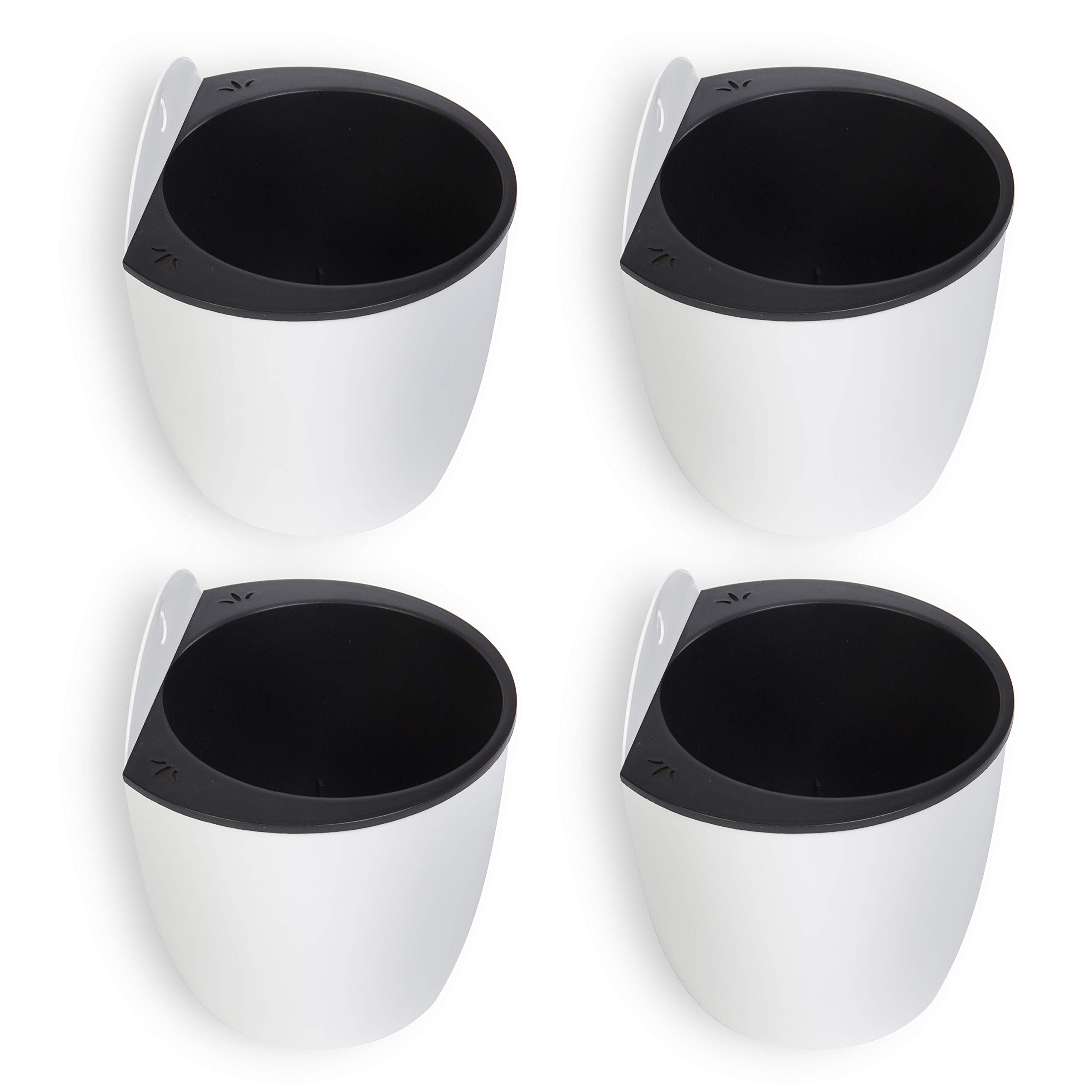 MyGift ideal uses include herbs, cacti, and petite indoor plants.