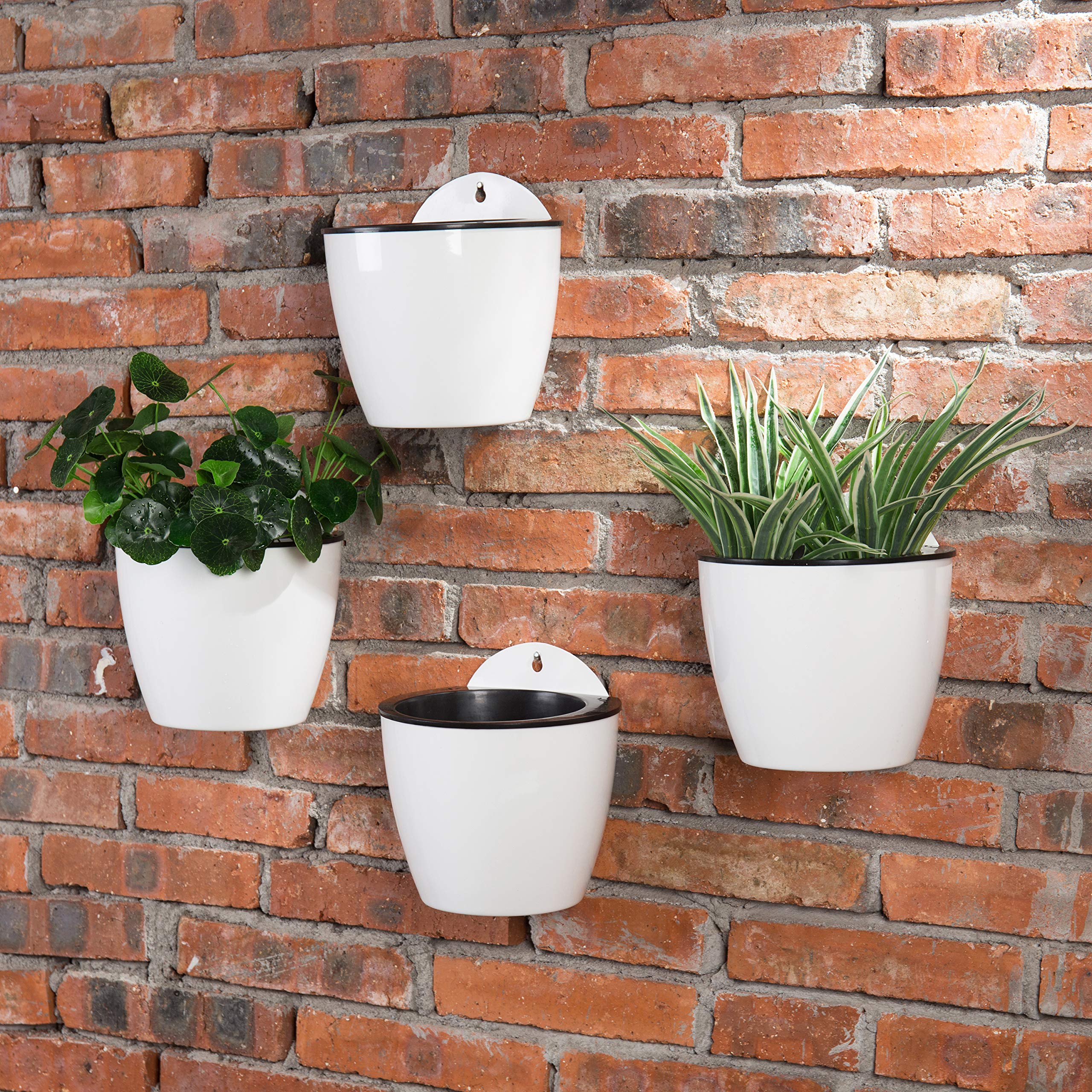 MyGift wall-mounted or freestanding setup adapts to kitchen, desk, or balcony.