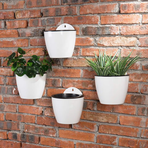 MyGift wall-mounted or freestanding setup adapts to kitchen, desk, or balcony.