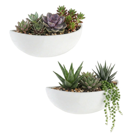 MyGift white ceramic wall planter with half-bowl design for space-saving indoor greenery.
