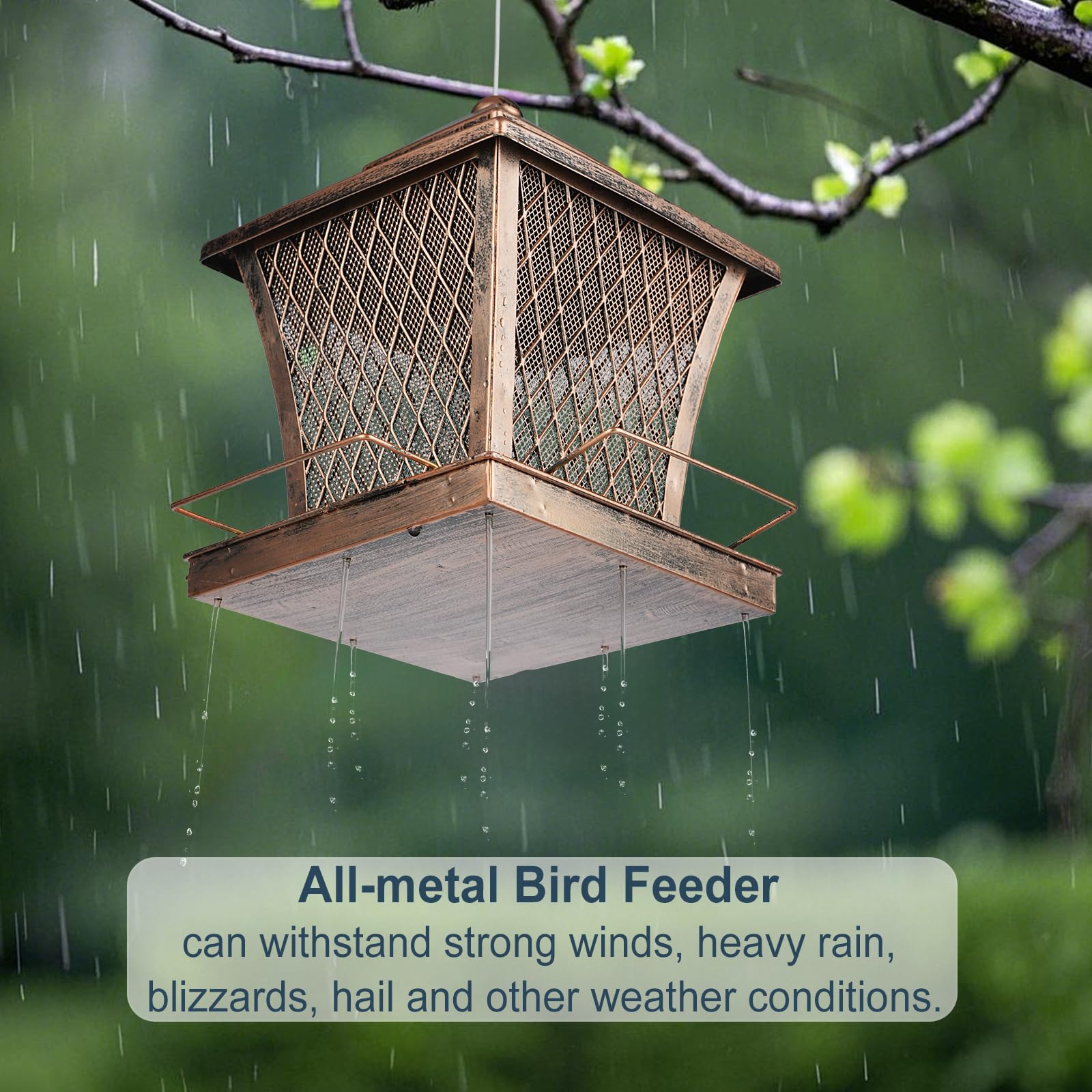 MYITYARD eight-drainage-holes keep seeds dry and fresh