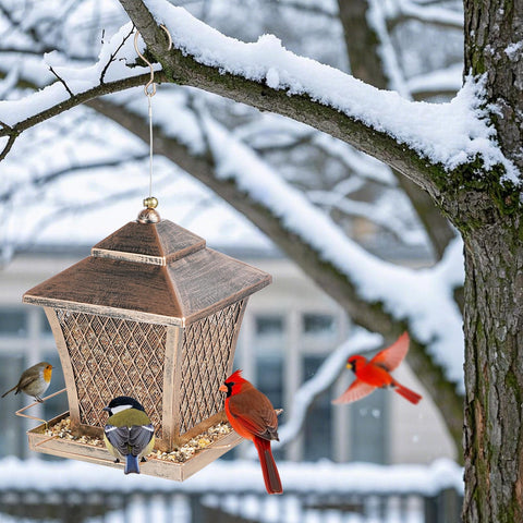 MYITYARD bird feeder makes a thoughtful gift for nature lovers