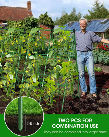 MYMULIKE 2-pack cucumber trellis helps maximize space in raised beds.