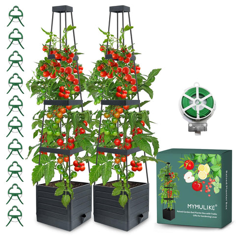 MYMULIKE 2-pack raised garden bed with trellis provides sturdy support for climbing vegetables.