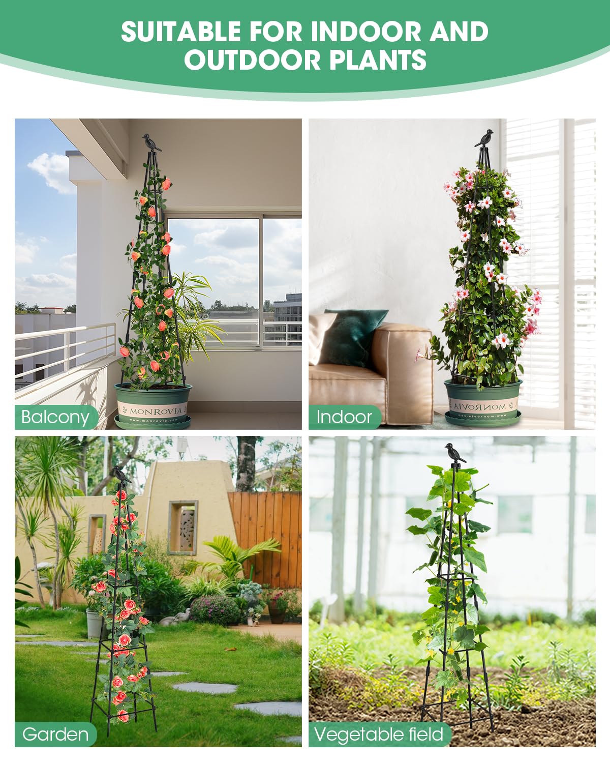 MYMULIKE climbing plant support ideal for roses and tomatoes