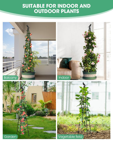 MYMULIKE climbing plant support ideal for roses and tomatoes