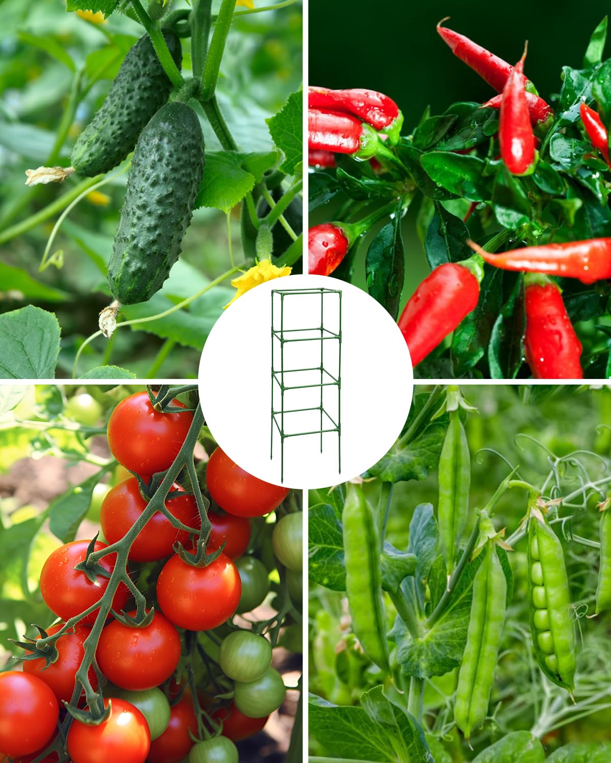 MYMULIKE four-tier structure provides stable support for diverse plants.