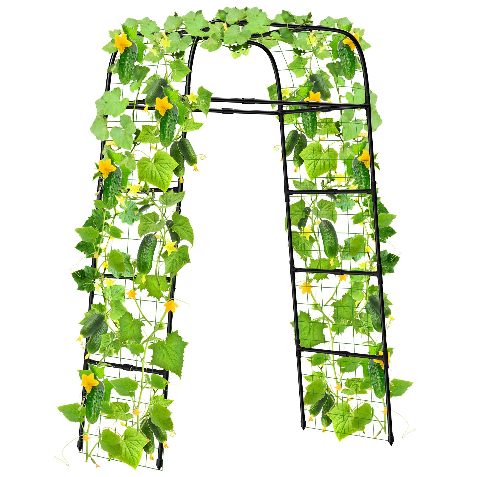 MYMULIKE 7ft garden arch trellis supports climbing vines with elevated airflow