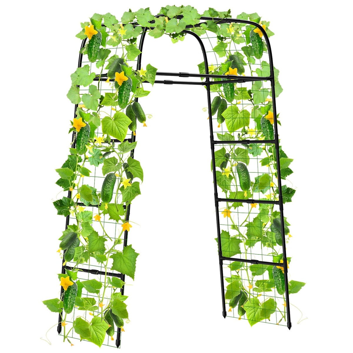 MYMULIKE 7ft garden arch trellis supports climbing vines with elevated airflow