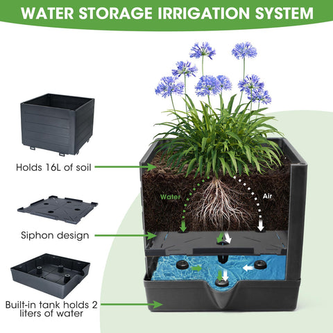 MYMULIKE self-watering reservoir helps maintain soil moisture between waterings.