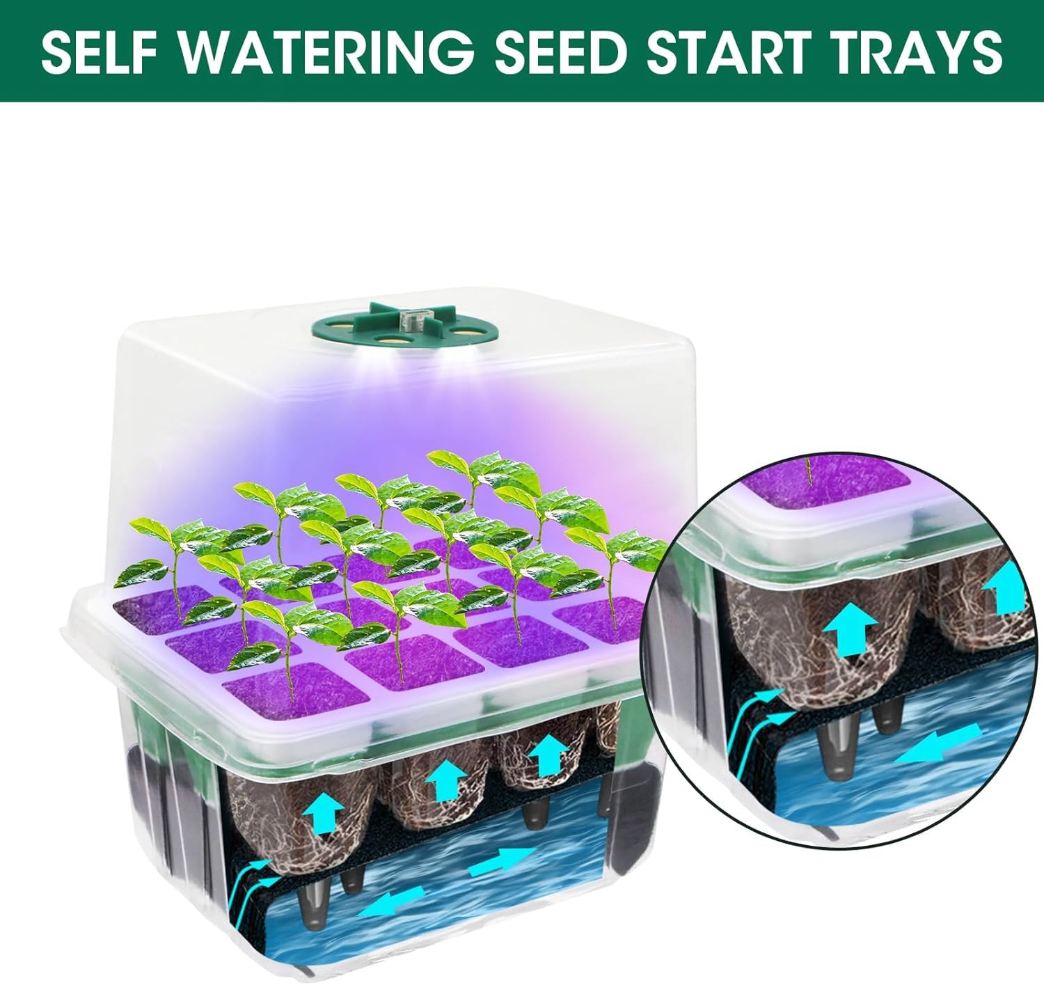 MYMULIKE BPA-free plastics ensure safe seed starting and reuse