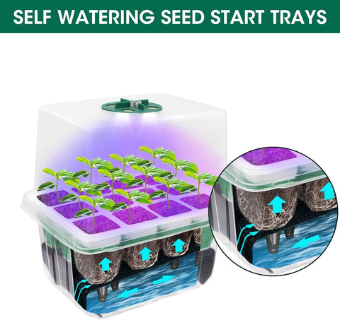 MYMULIKE BPA-free plastics ensure safe seed starting and reuse