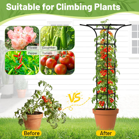 MYMULIKE climbing-plant trellis provides sturdy support for roses and clematis outdoors.