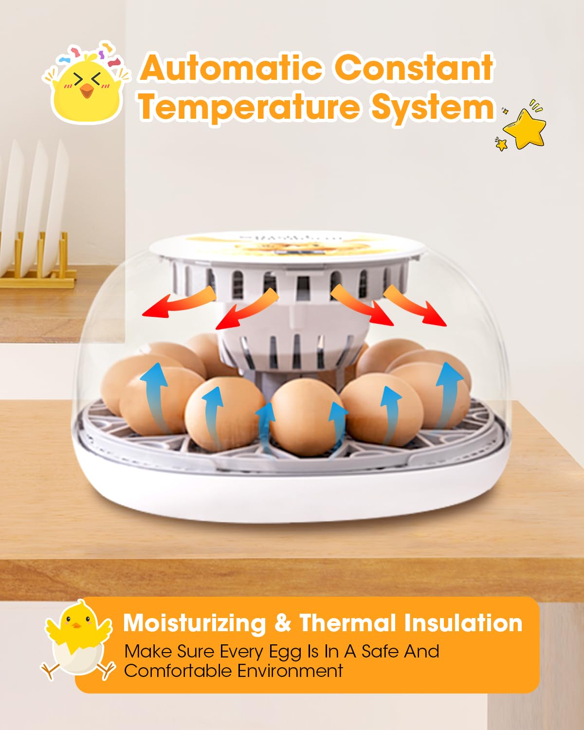 MYMULIKE compact backyard incubator suitable for home poultry projects