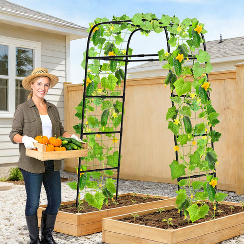 MYMULIKE cucumber trellis for raised beds keeps fruit off soil