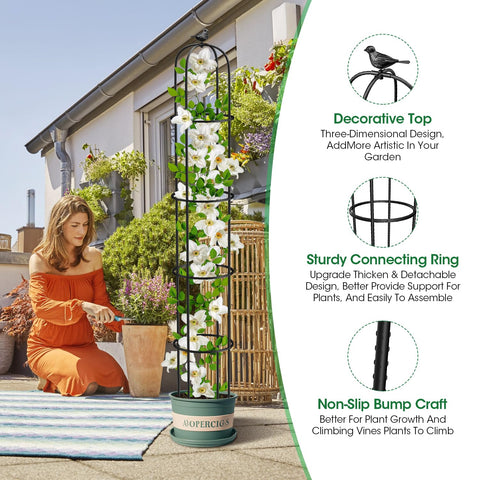 MYMULIKE decorative multi purpose trellis for roses clematis vegetables