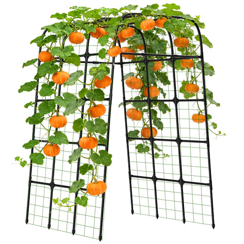 MYMULIKE garden trellis arch 7ft provides sturdy support for climbing vegetables.