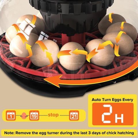 MYMULIKE HatchPro 12 AB humidity trays simplify moisture control for steady incubation.