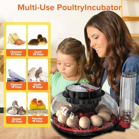 MYMULIKE HatchPro 12 automatic egg turner reduces manual handling, promotes even turning.