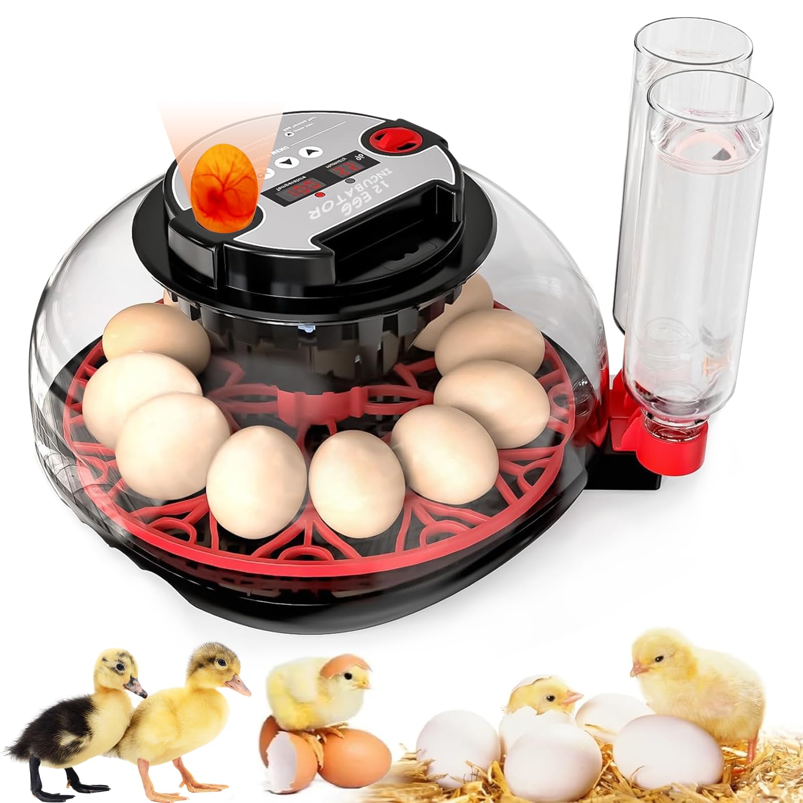 MYMULIKE HatchPro 12 incubator front view demonstrates compact home use for hobbyists.