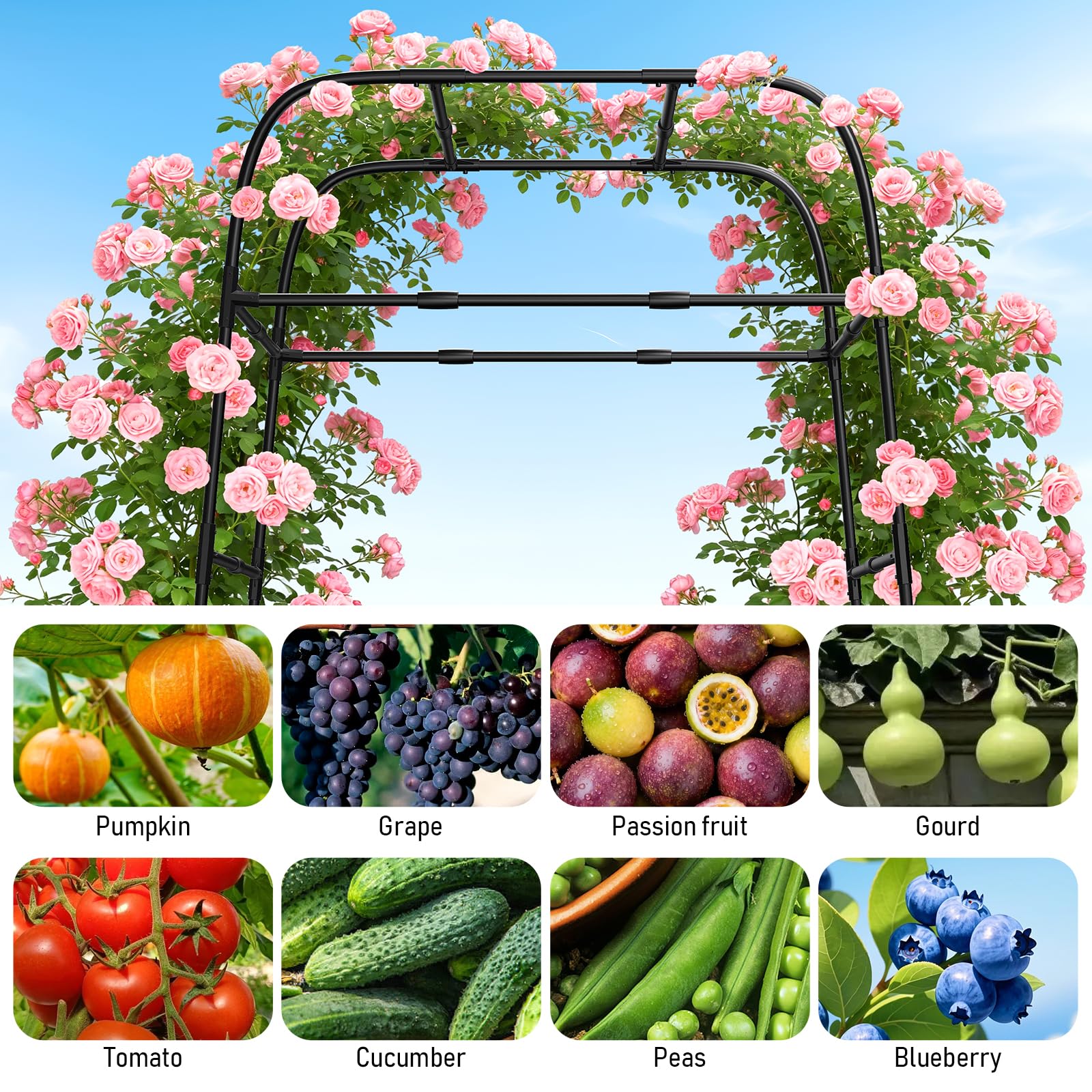 MYMULIKE heavy-duty steel arbor provides sturdy plant support for cucumbers