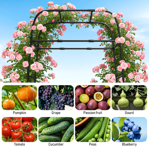 MYMULIKE heavy-duty steel arbor provides sturdy plant support for cucumbers