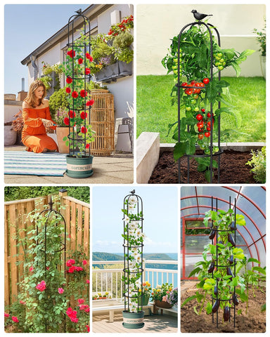 MYMULIKE indoor/outdoor plant support enhances decoration and organization.