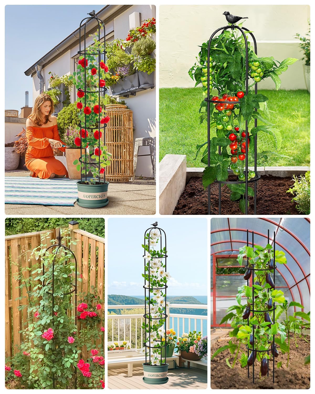 MYMULIKE plant support for roses and clematis using the trellis