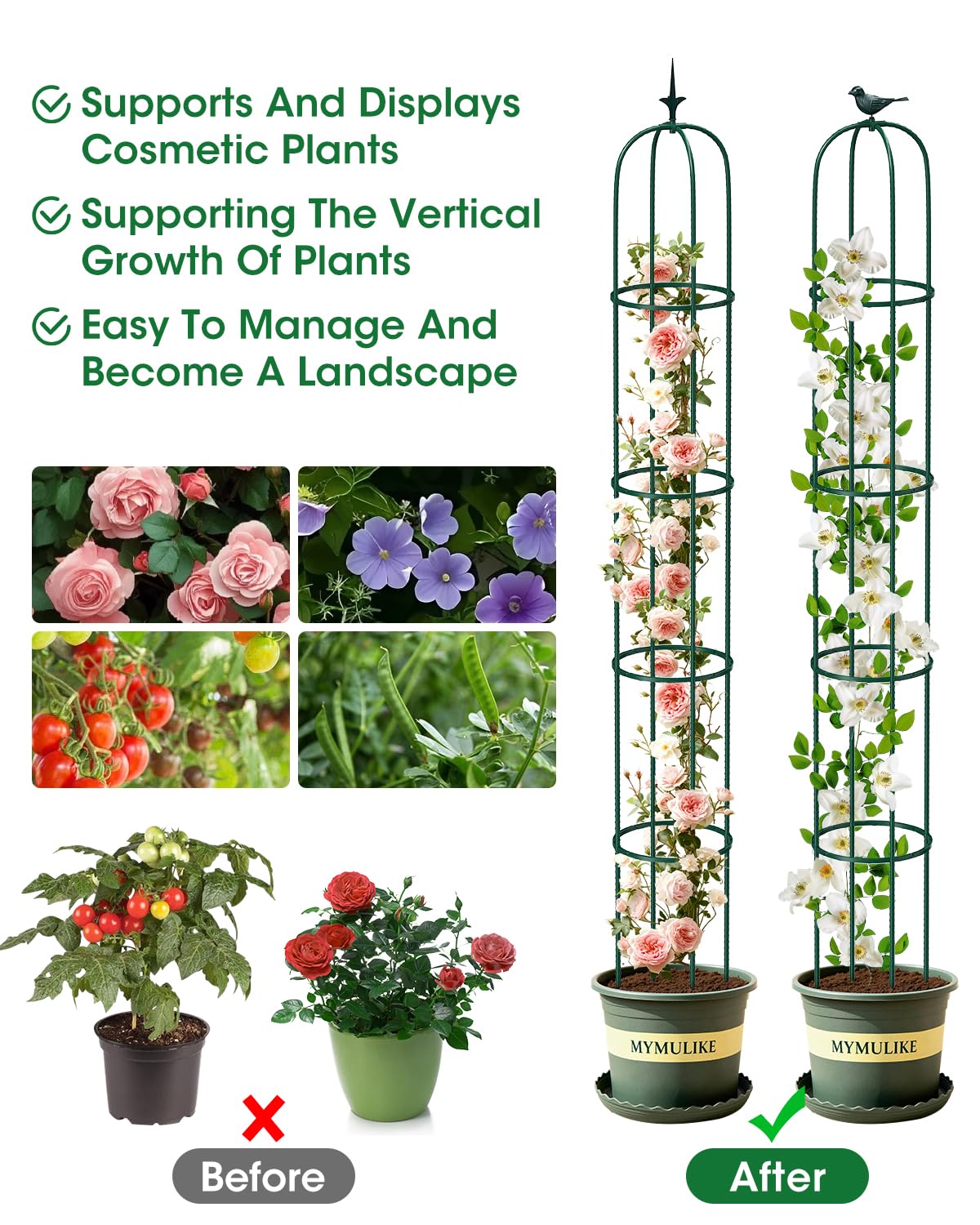 MYMULIKE plant-support trellis guiding vine growth neatly.