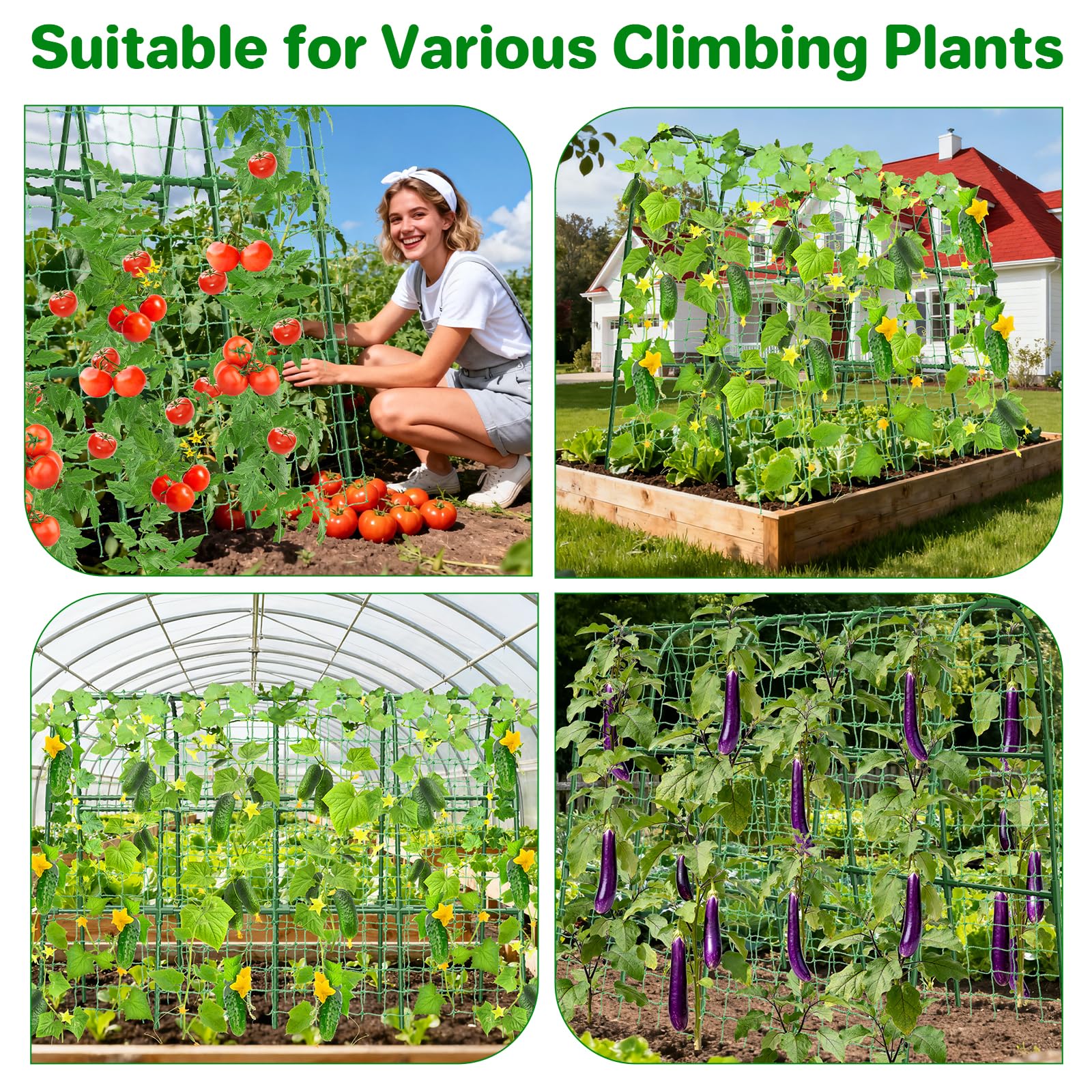 MYMULIKE plant ties and netting simplify training vines neatly