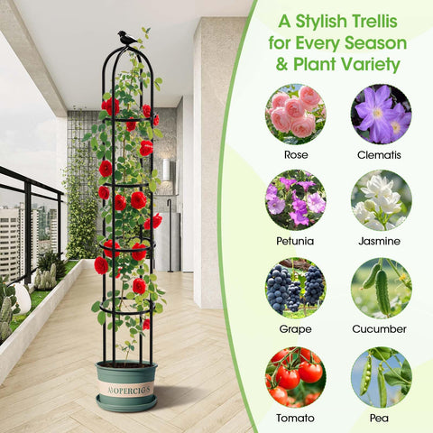 MYMULIKE plastic-cased poles protect against rust while supporting plants.