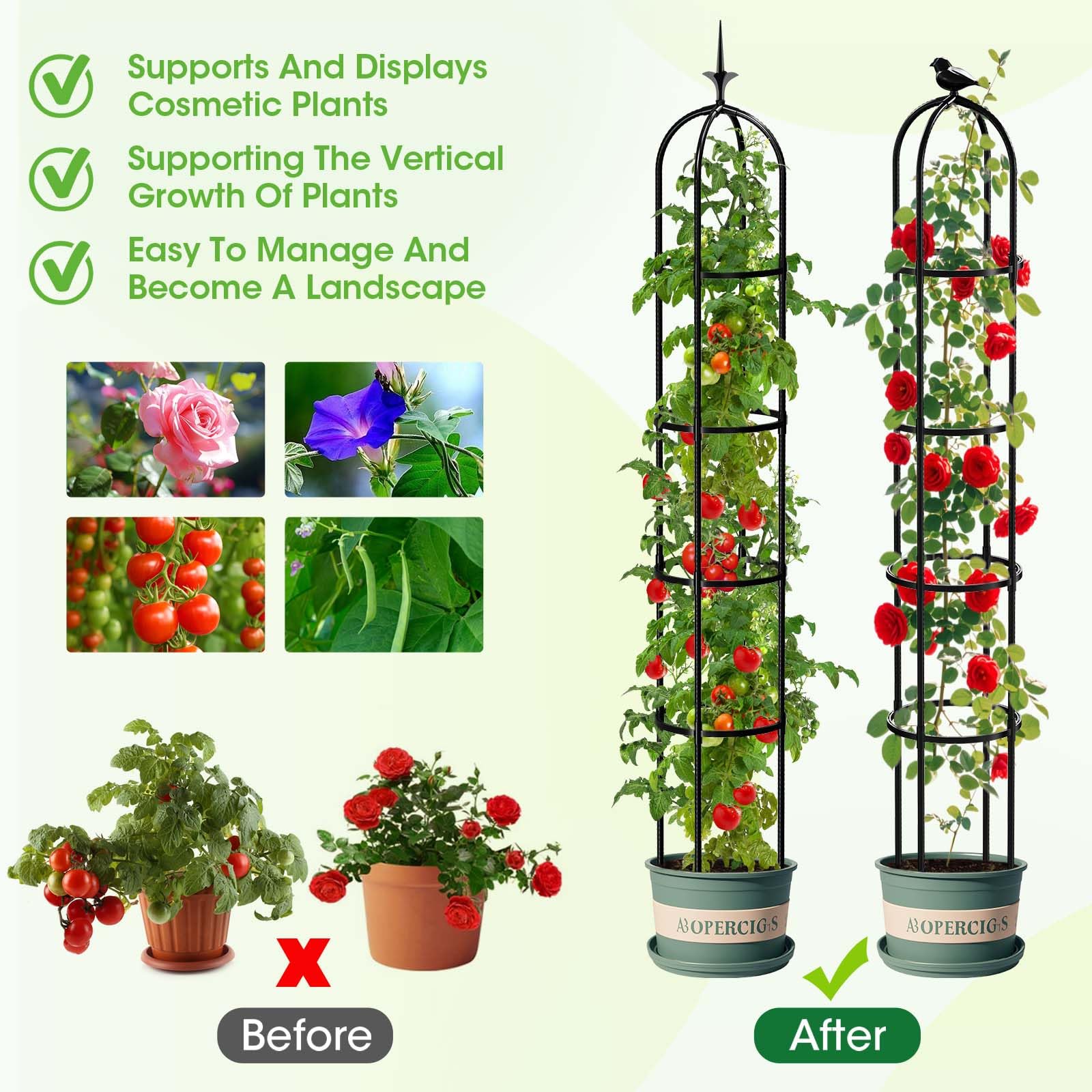 MYMULIKE rose and vine support obelisk keeping blooms upright and tidy.