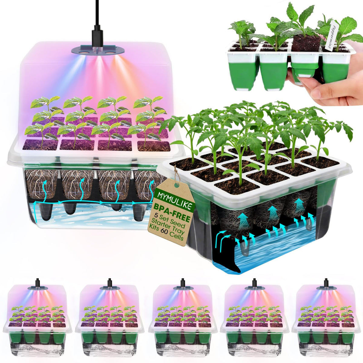 MYMULIKE Seed Starter Tray 60 cells for organized germination and seedling management
