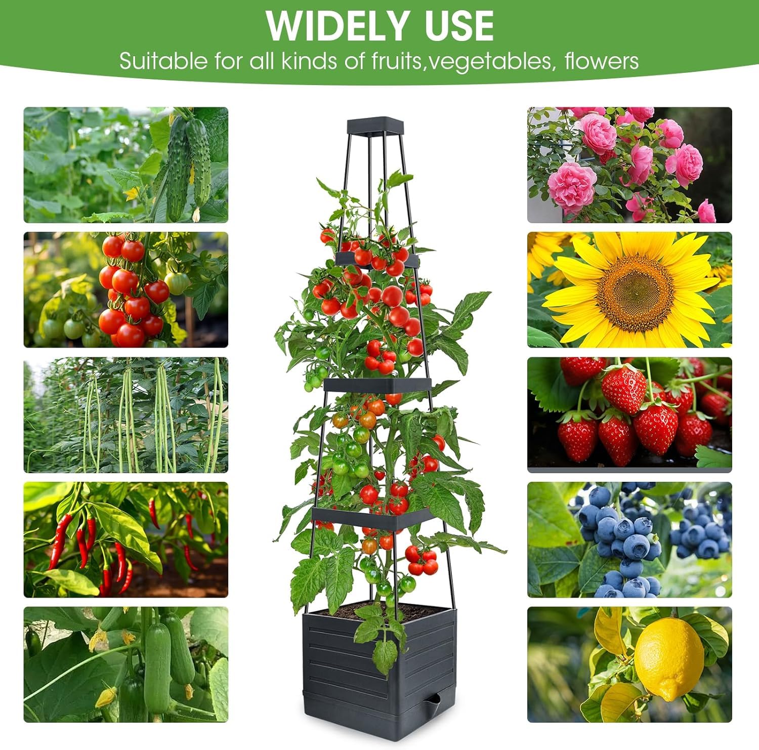 MYMULIKE self-watering reservoir maintains soil moisture for healthier roots