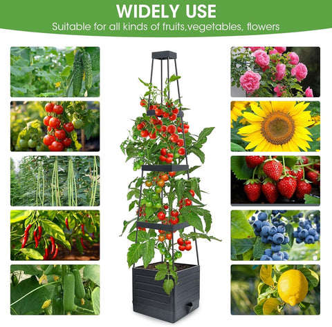 MYMULIKE self-watering reservoir maintains soil moisture for healthier roots