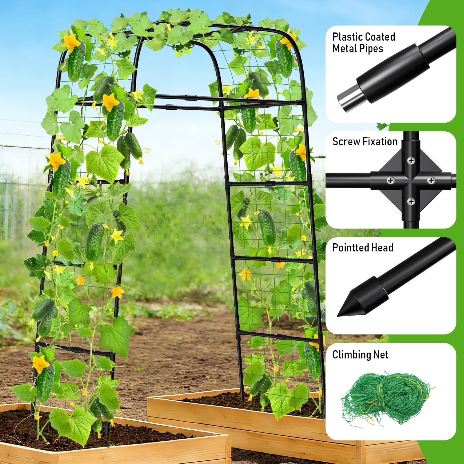 MYMULIKE tall arch ideal for vegetables and flowering climbers