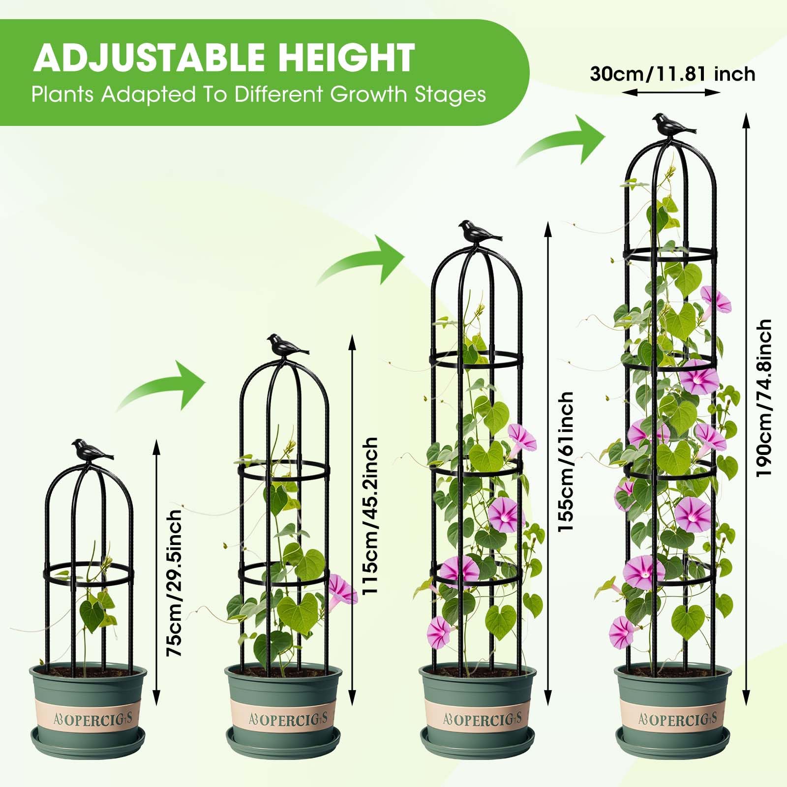 MYMULIKE tomato cage obelisk providing strong stem support for tomatoes.