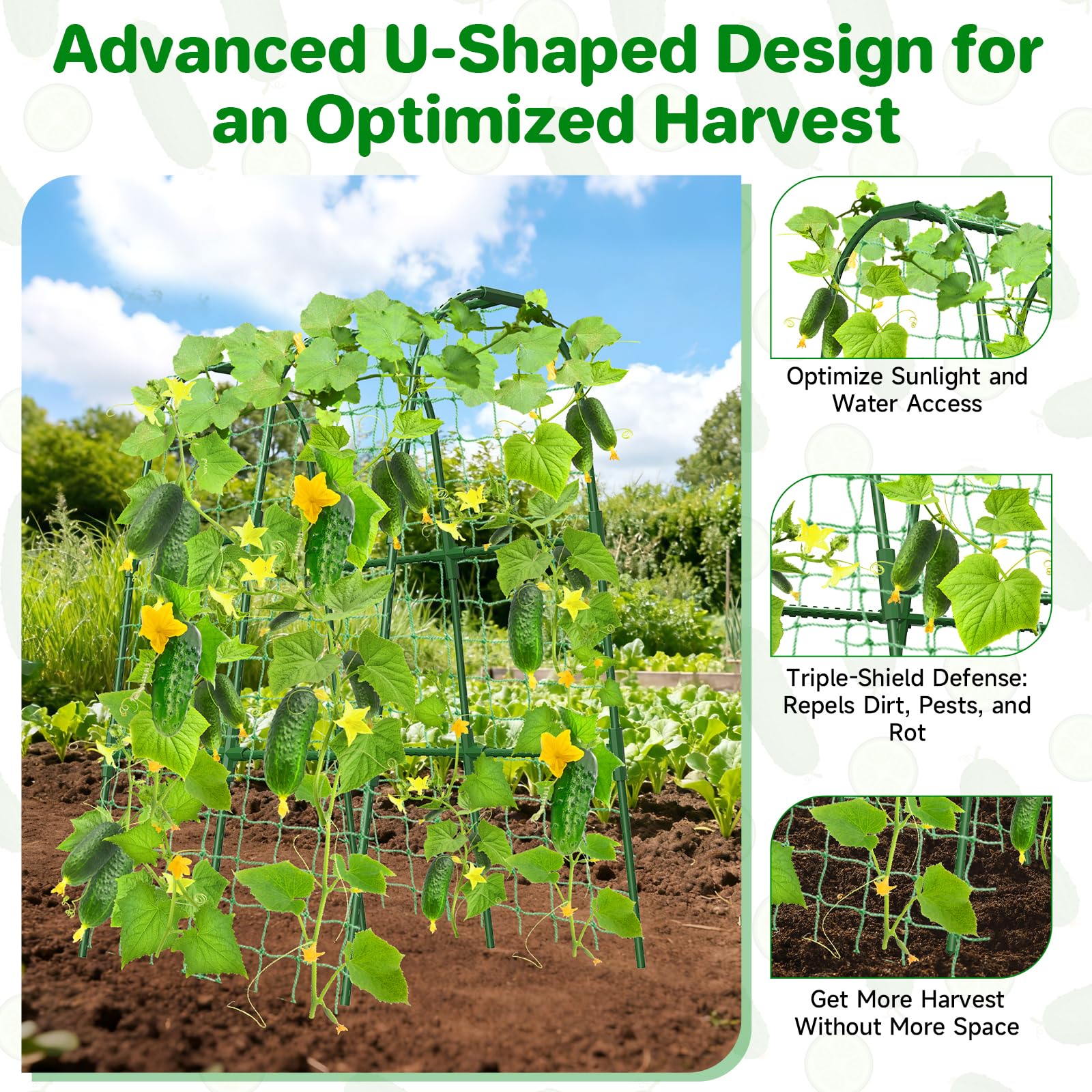MYMULIKE U-shape garden trellis improves airflow and light for vines
