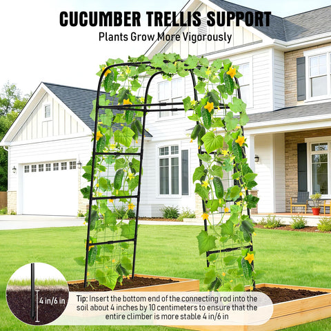 MYMULIKE wind-stable trellis supports tall climbing plants reliably