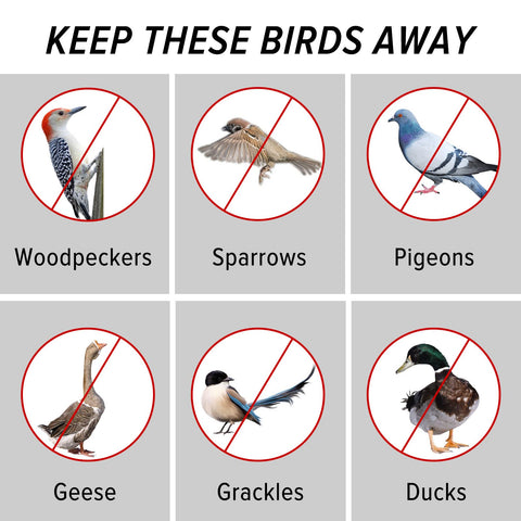 MP Mypole Bird Scare Tape on a deck protecting outdoor space from birds