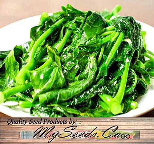 MySeeds.Co non-GMO Kai Lan seeds label signals quality and reliability.
