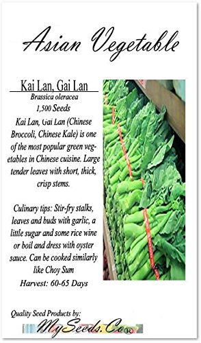 MySeeds.Co Kai Lan seeds germination scene shows quick sprouting for fresh harvest.