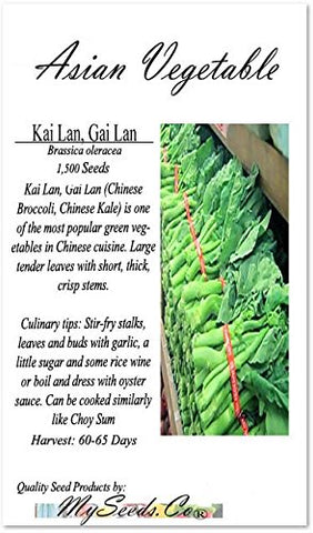 MySeeds.Co Kai Lan seeds germination scene shows quick sprouting for fresh harvest.