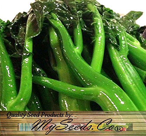 MySeeds.Co Kai Lan image shows greens ready for Cantonese stir-fry.